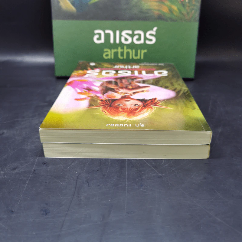 อาเธอร์ Arthur Boxset เล่ม 1-2 - ลุก แบซซอง รูปที่ 16