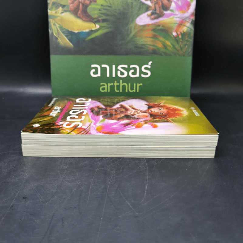 อาเธอร์ Arthur Boxset เล่ม 1-2 - ลุก แบซซอง รูปที่ 15
