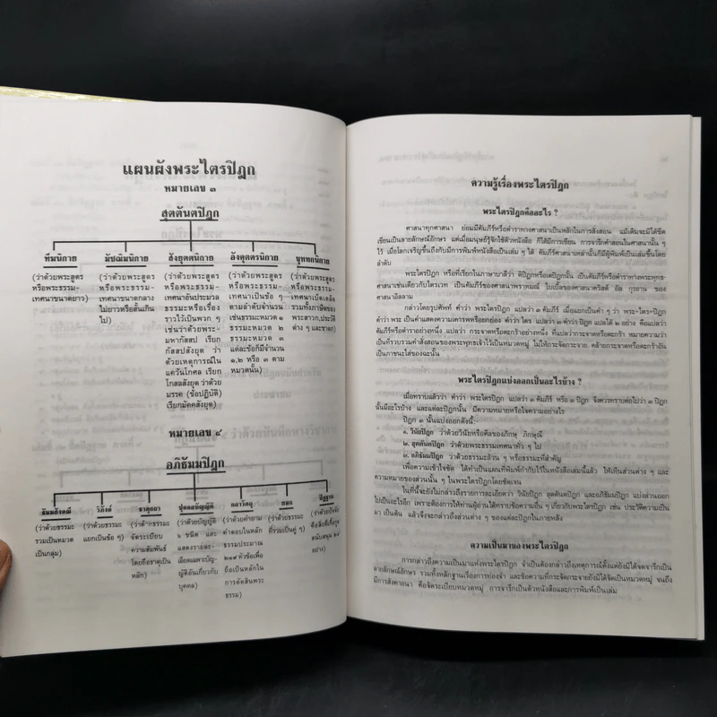 พระไตรปิฎก ฉบับสำหรับประชาชน รูปที่ 16
