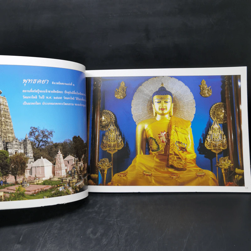 พุทธภูมิสุวรรณภูมิ - พันโทหญิง ศศิวาศน์ ศรีเนธิยานันท์ รูปที่ 11