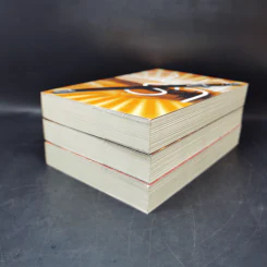 Boxset นวนิยายชุด Rising Sun 3 เล่ม สายเลือดแดนตะวัน, รอยฝันตะวันเดือด, รอยรักหักเหลี่ยมตะวัน - ณารา รูปที่ 8