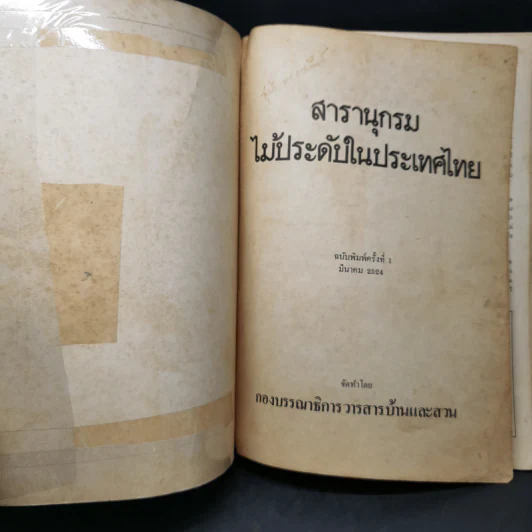 สารานุกรมไม้ประดับในประเทศไทย รูปที่ 8