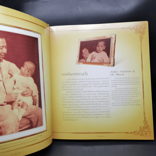 ทรงเป็นแรงบันดาลใจ Boxset รูปที่ 10