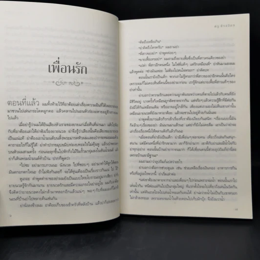 ภูตต่างพบ - ครู ข้างวังฯ รูปที่ 11