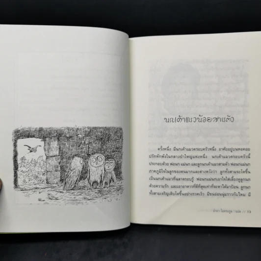 นกเค้าแมวน้อยสามตัวและเรื่องสัตว์อื่นๆ - Erwin Moser รูปที่ 10