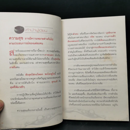 ตักสุขใส่กระโหลกชะโงกดูใจ - สุรเชษฐ เวชชพิทักษ์ รูปที่ 9