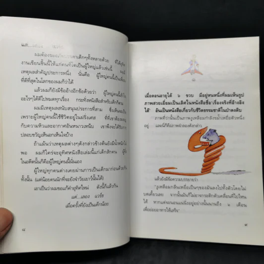 เจ้าชายน้อย - พงาพันธุ์ รูปที่ 10