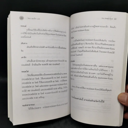 The Green Book - Elizabeth Rogers, โตมร ศุขปรีชา รูปที่ 12