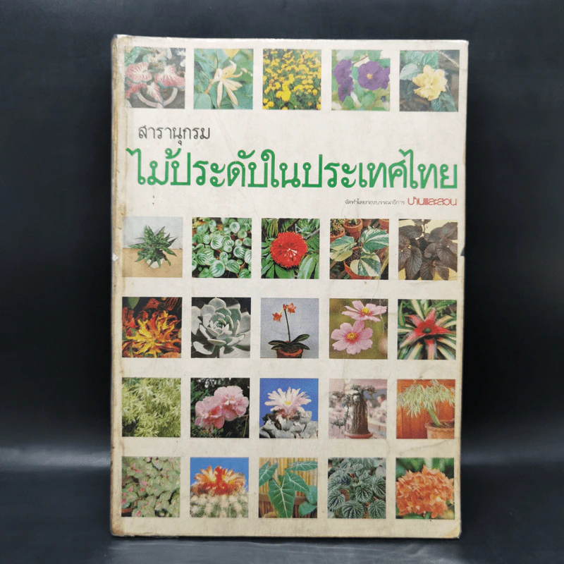สารานุกรมไม้ประดับในประเทศไทย รูปที่ 1