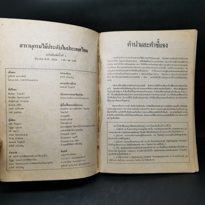 สารานุกรมไม้ประดับในประเทศไทย รูปที่ 9