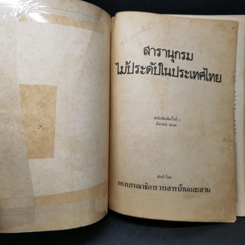 สารานุกรมไม้ประดับในประเทศไทย รูปที่ 8