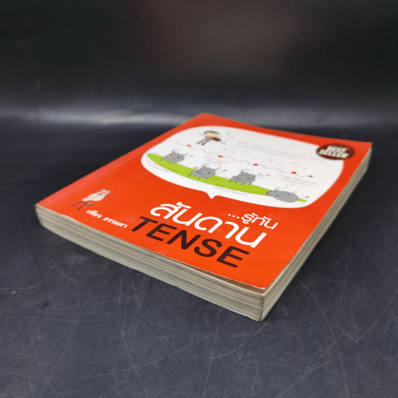 รู้ทันสันดาน Tense - เฑียร ธรรมดา รูปที่ 7