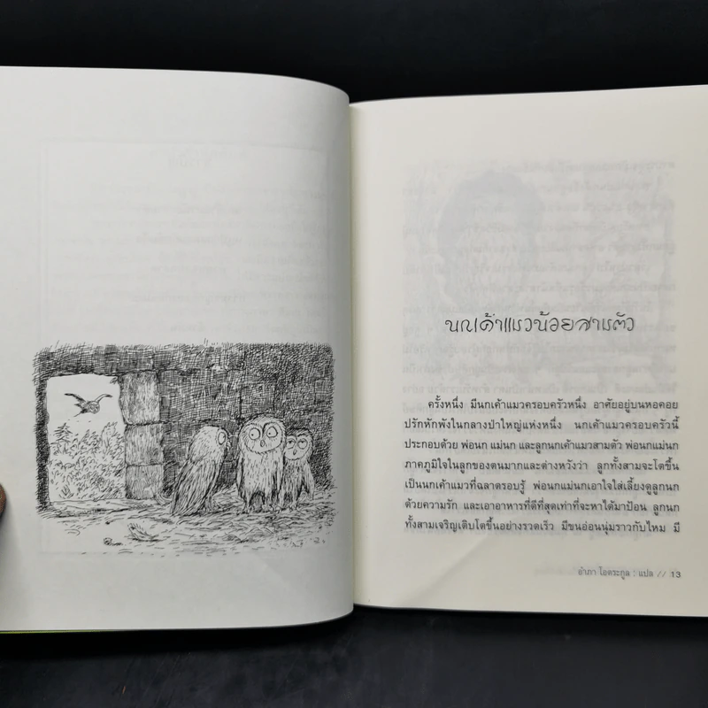 นกเค้าแมวน้อยสามตัวและเรื่องสัตว์อื่นๆ - Erwin Moser รูปที่ 10
