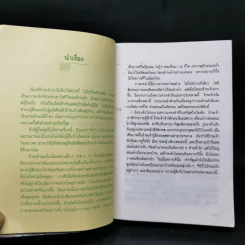 นางทิพย์ - แก้วเก้า รูปที่ 9