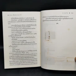 เลื่อมพรายลายรัก - ดวงตะวัน รูปที่ 10