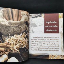 มหัศจรรย์สมุนไพรจีน รูปที่ 12