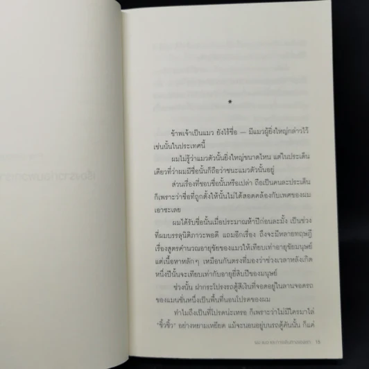 ผม แมว และการเดินทางของเรา The Travelling Cat Chronicles - ฮิโระ อาริคาว่า รูปที่ 10