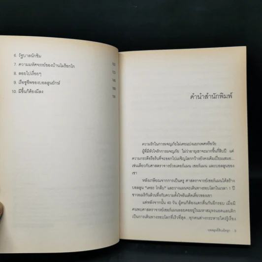 บอลลูนยี่สิบเอ็ดลูก - William Pene Du Bois รูปที่ 9