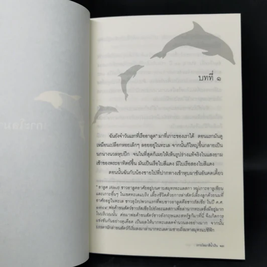 เกาะโลมาสีน้ำเงิน Island of the Blue Dolphins - Scott O'Dell รูปที่ 9