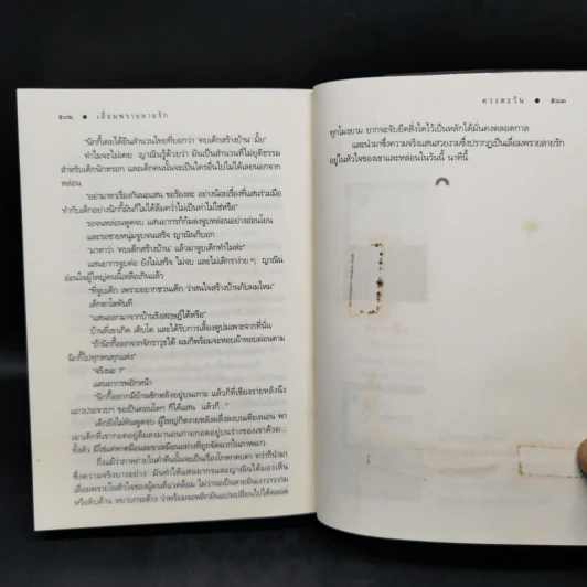 เลื่อมพรายลายรัก - ดวงตะวัน รูปที่ 10