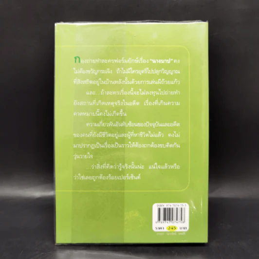นางบาป - กิ่งฉัตร รูปที่ 2