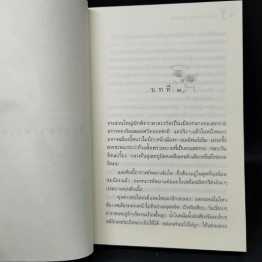 หิมะกลางทะเลทราย - กิ่งฉัตร รูปที่ 10