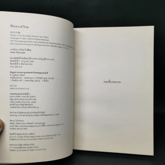 PIECES OF YOU เศษเสี้ยวของเธอ - Tablo รูปที่ 8
