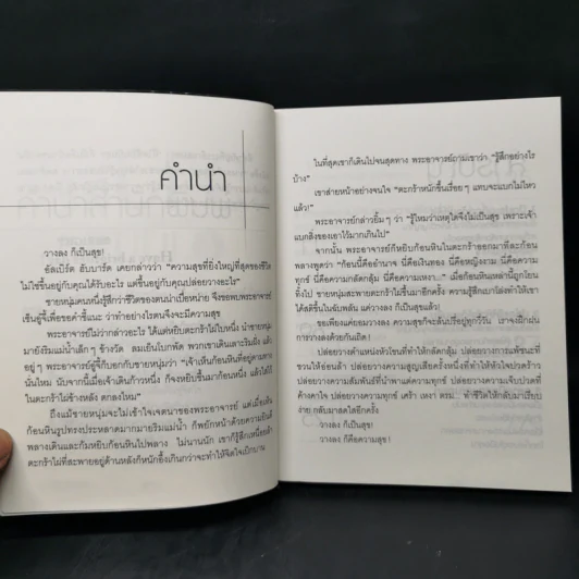 วางลงก็เป็นสุข Just let it go - เซียวเย่ว์ รูปที่ 9