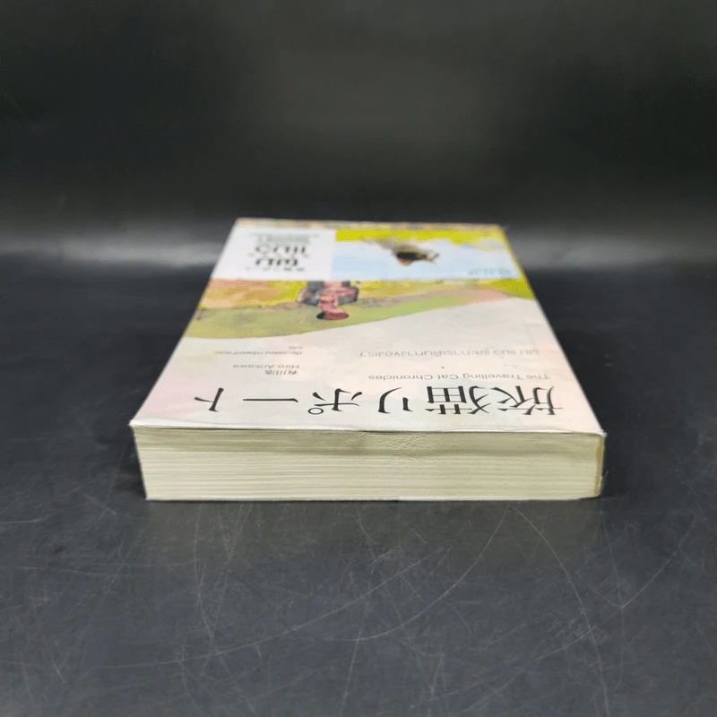 ผม แมว และการเดินทางของเรา The Travelling Cat Chronicles - ฮิโระ อาริคาว่า รูปที่ 6