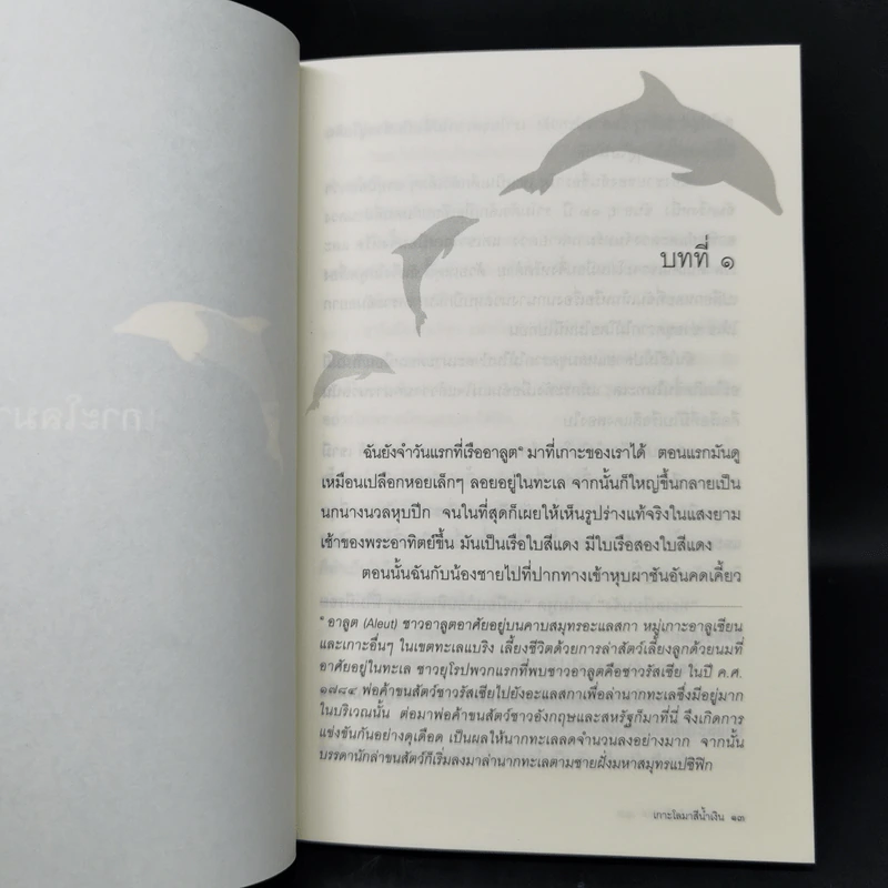 เกาะโลมาสีน้ำเงิน Island of the Blue Dolphins - Scott O'Dell รูปที่ 9