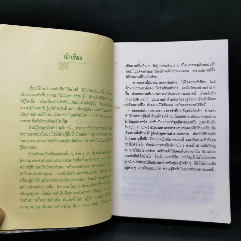 นางทิพย์ - แก้วเก้า รูปที่ 9