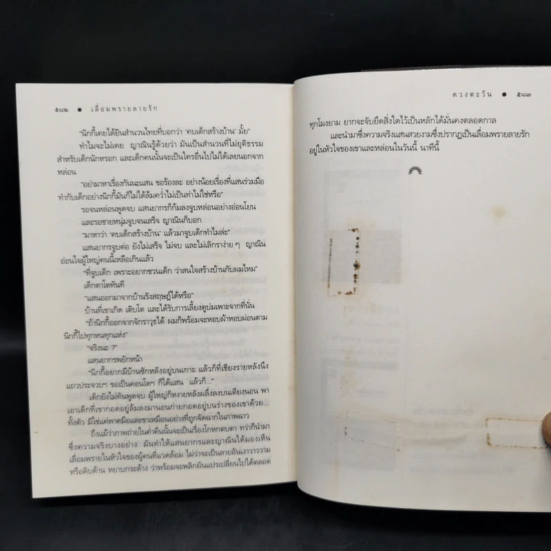 เลื่อมพรายลายรัก - ดวงตะวัน รูปที่ 10
