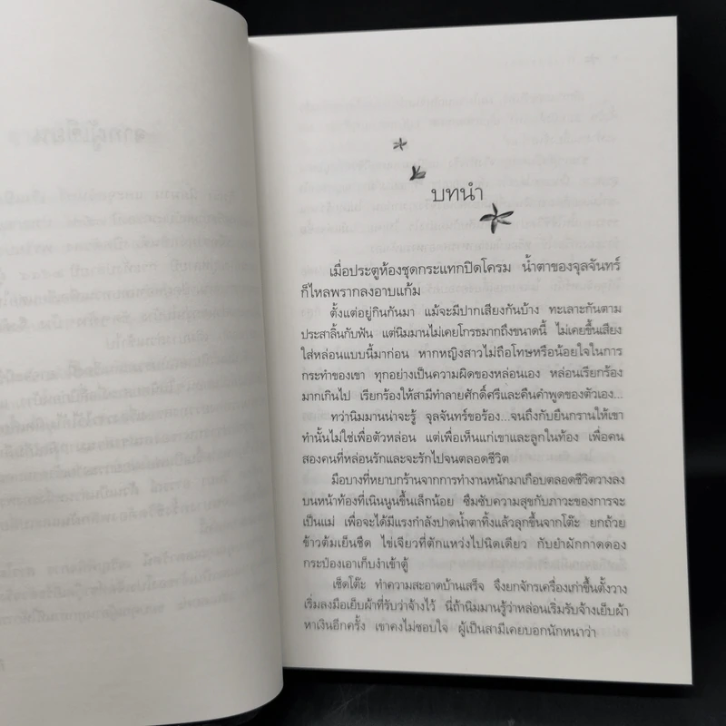 พรายปรารถนา - กิ่งฉัตร รูปที่ 10