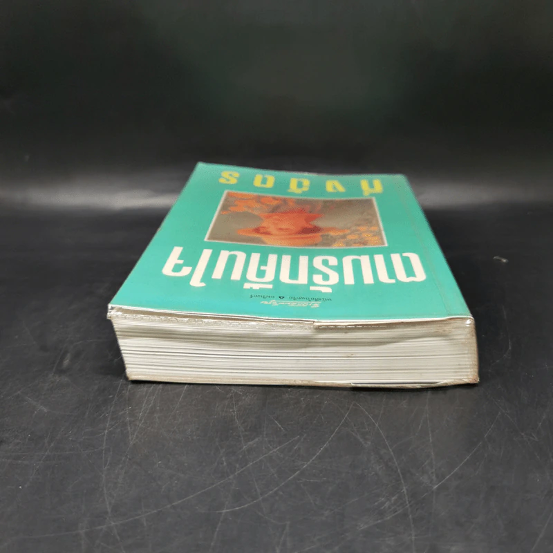 ตามรักคืนใจ - กิ่งฉัตร รูปที่ 6