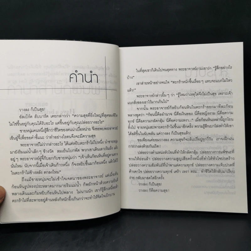 วางลงก็เป็นสุข Just let it go - เซียวเย่ว์ รูปที่ 9