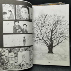 การ์ตูนวาย คว้ากลีบซากุระ 3 เล่มจบ รูปที่ 9