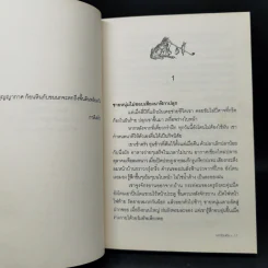 นกก้อนหิน - บินหลา สันกาลาคีรี รูปที่ 10