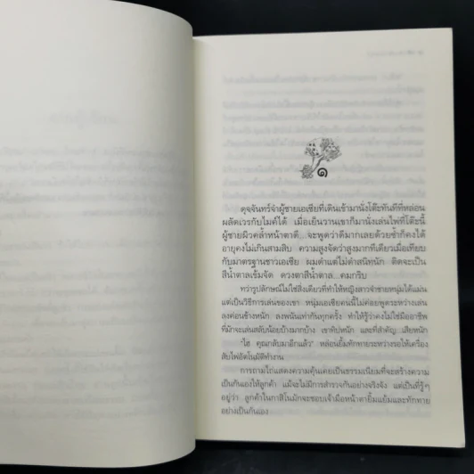 ลำนำจันทร์ - กิ่งฉัตร รูปที่ 9