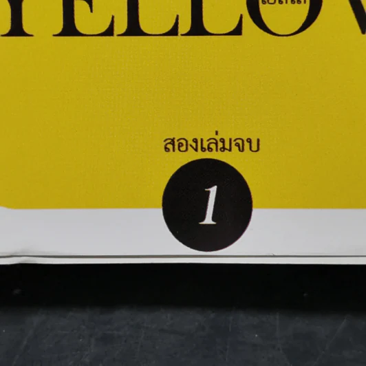 การ์ตูนวาย Yellow เยลโล่ 2 เล่มจบ รูปที่ 8