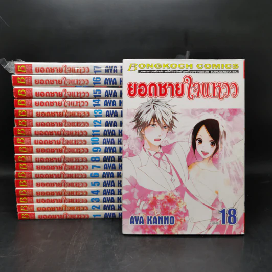 ยอดชายใจแหวว 18 เล่มจบ รูปที่ 1