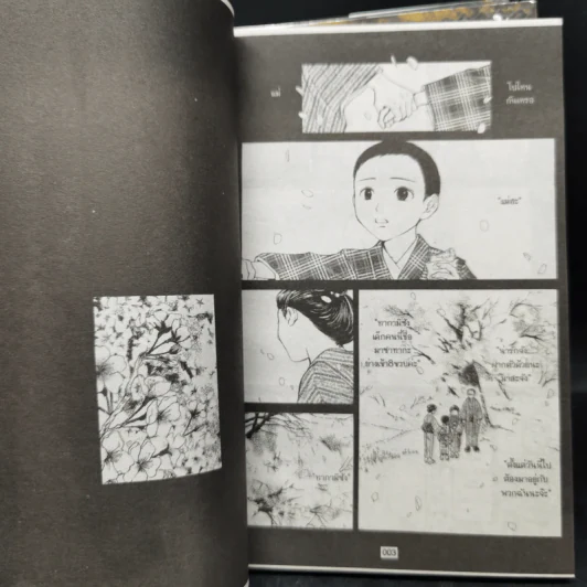 การ์ตูนวาย คว้ากลีบซากุระ 3 เล่มจบ รูปที่ 8