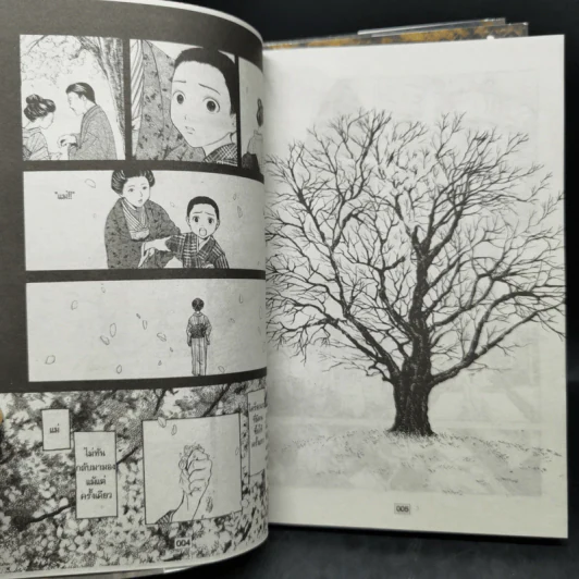 การ์ตูนวาย คว้ากลีบซากุระ 3 เล่มจบ รูปที่ 9