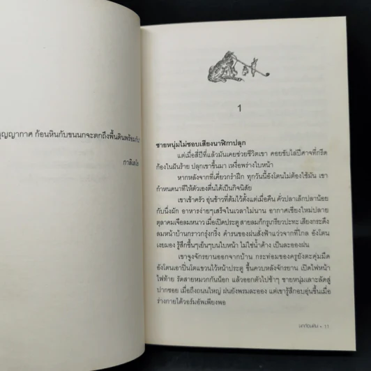 นกก้อนหิน - บินหลา สันกาลาคีรี รูปที่ 10