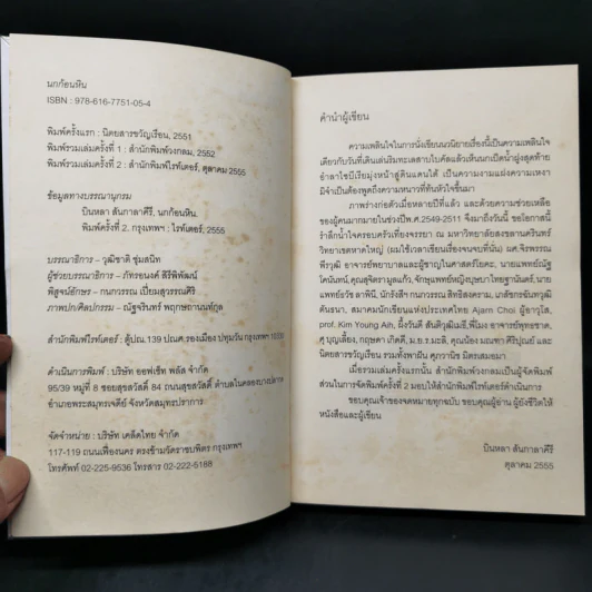 นกก้อนหิน - บินหลา สันกาลาคีรี รูปที่ 9