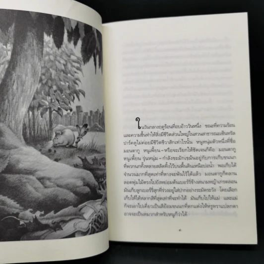 มอนตากู เจ้าหนูหัวใจศิลปะ - ทอร์ ซีดเลอร์ รูปที่ 9