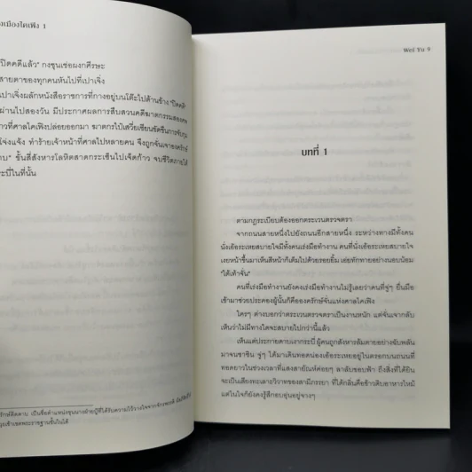 คดีปีศาจแห่งเมืองไคเฟิง 4 เล่มจบ - Wei Yu รูปที่ 9