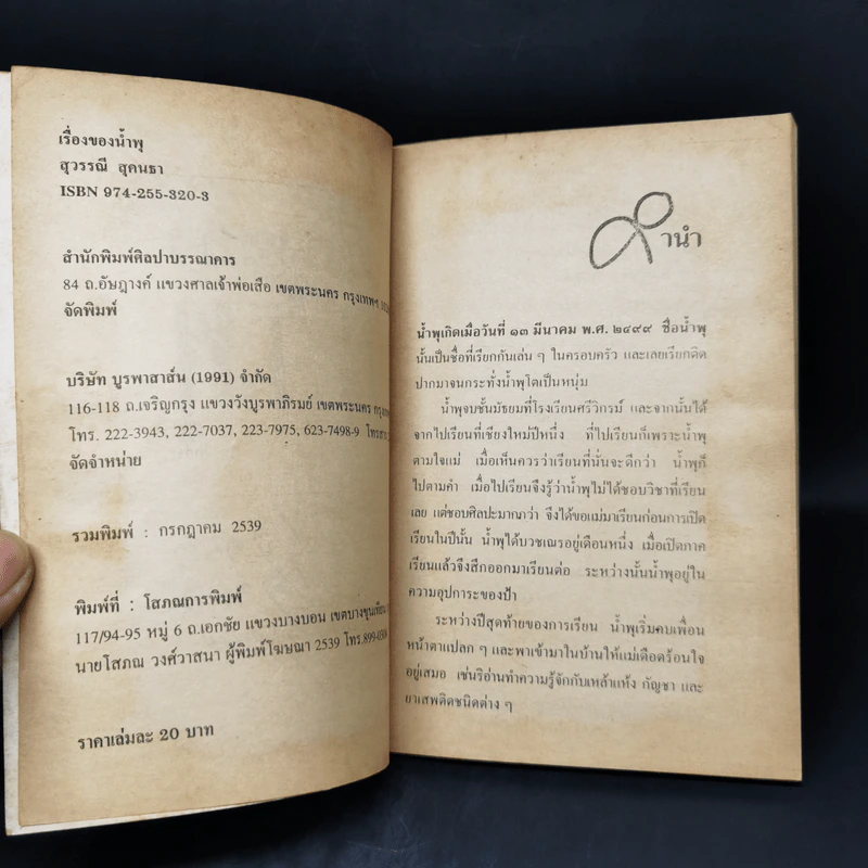 เรื่องของน้ำพุ - วงศ์เมือง นันทขว้าง รูปที่ 8