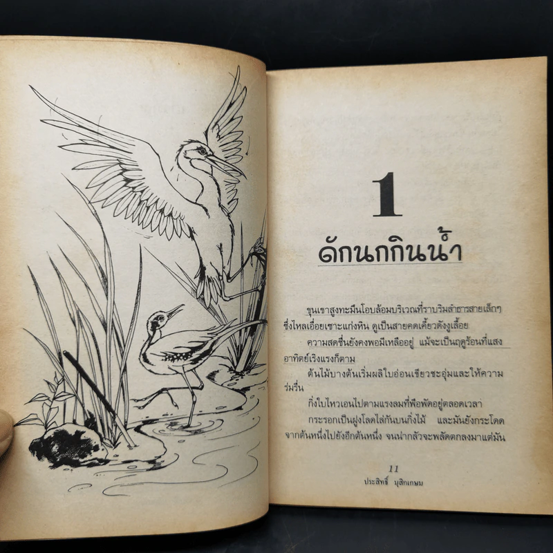 ชีวิตบ้านป่า - ประสิทธิ์ มุสิกเกษม รูปที่ 11