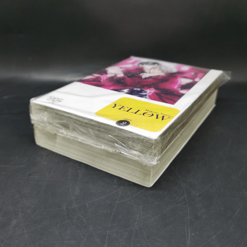 การ์ตูนวาย Yellow เยลโล่ 2 เล่มจบ รูปที่ 7