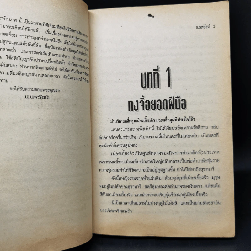 นักสู้สะท้านภพ 5 เล่มจบ - น.นพรัตน์ รูปที่ 8